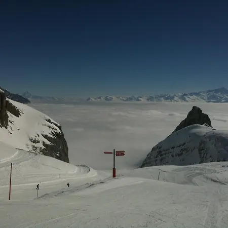 Chalet Ecureuil Noir Leytron